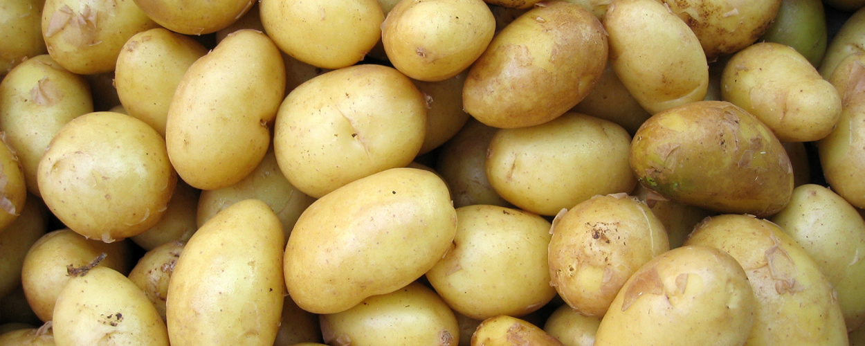 Potatoes