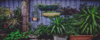 Wall of pots and plants