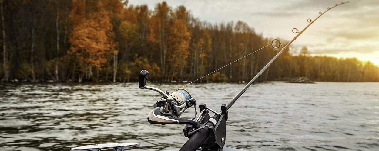 fishing on a lake as part of a summer hobby