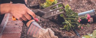 elderly person getting started with gardening